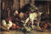 unknow artist poultry  160 oil painting picture wholesale